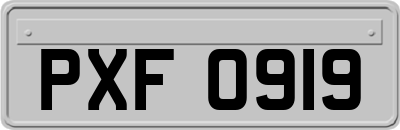 PXF0919