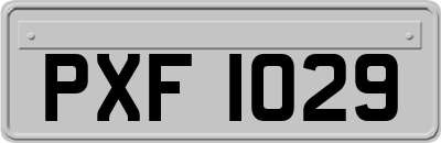 PXF1029