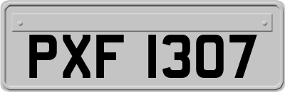 PXF1307