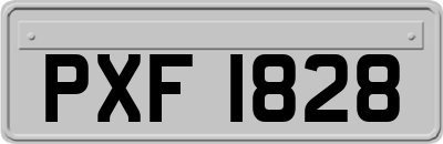 PXF1828