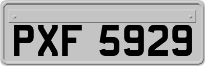 PXF5929