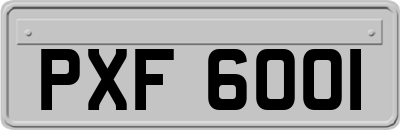 PXF6001