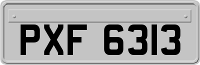 PXF6313