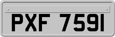 PXF7591