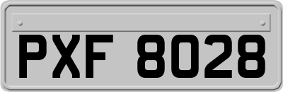 PXF8028