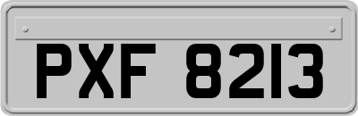 PXF8213