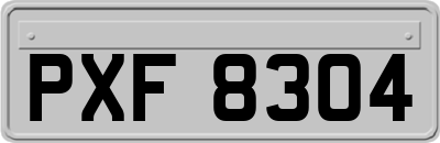 PXF8304