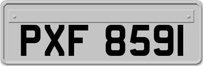 PXF8591