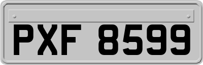 PXF8599