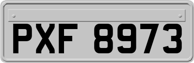 PXF8973