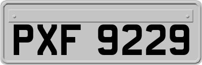 PXF9229