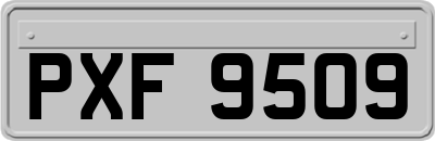 PXF9509