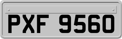 PXF9560