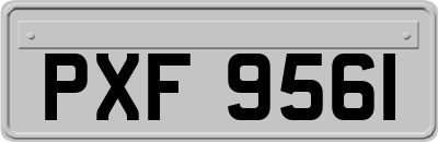 PXF9561