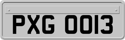 PXG0013