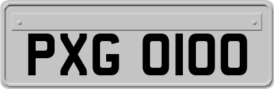 PXG0100