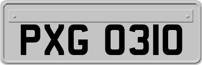 PXG0310