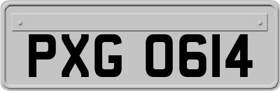 PXG0614