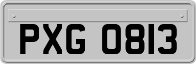 PXG0813