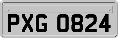 PXG0824