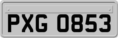 PXG0853