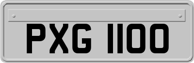 PXG1100