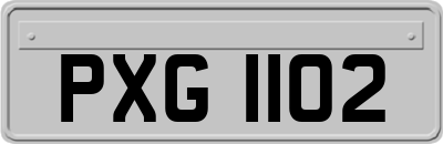 PXG1102