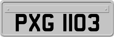 PXG1103