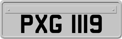 PXG1119