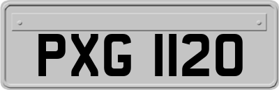 PXG1120