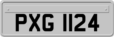 PXG1124