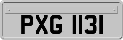 PXG1131