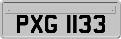 PXG1133