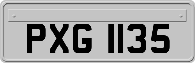 PXG1135