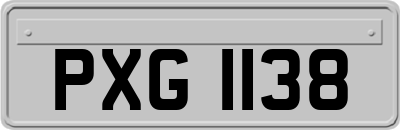 PXG1138