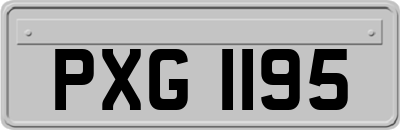 PXG1195