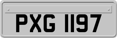 PXG1197