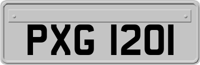 PXG1201