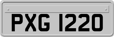 PXG1220