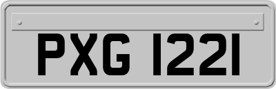 PXG1221