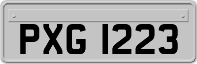 PXG1223