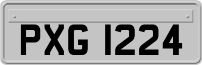 PXG1224