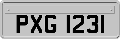 PXG1231