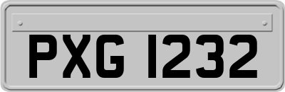 PXG1232