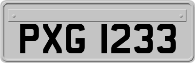 PXG1233