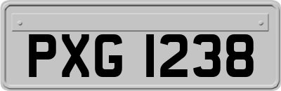 PXG1238