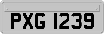 PXG1239