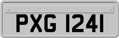 PXG1241