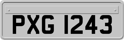 PXG1243