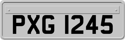 PXG1245